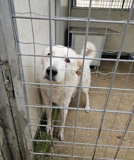 762b7bfa-9eeb-4b92-9cb9-3ae531553b1e