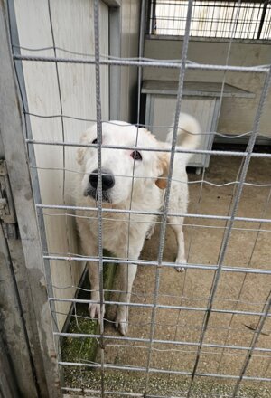 pxb_2135026_64ea2d82d9a1bcee82791ceebf3e4f37