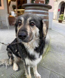 9f8d5603-4e23-44c2-a6f6-e33f4be839fb