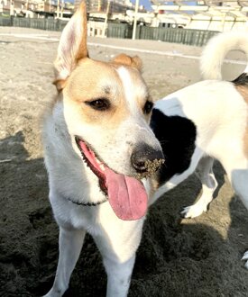 fd6c0739-6df9-4c87-8f0f-767597ed418d