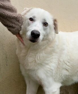 4a140873-a26d-47f1-bd30-f17b260e66f8