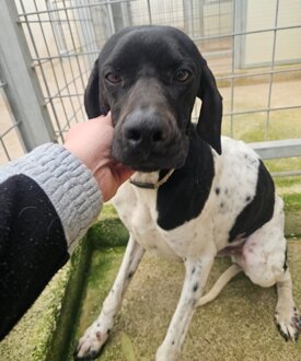 411fbca6-1656-463b-b493-33a01eb691c4