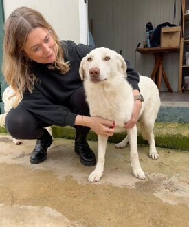 1768943312thumb-2026-01-20-090831-a319cade-e7e0-4666-a890-a9e18e490faa