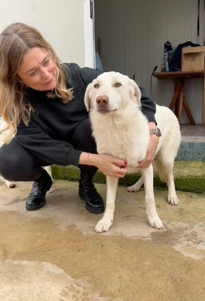 pxb_2135026_64ea2d82d9a1bcee82791ceebf3e4f37