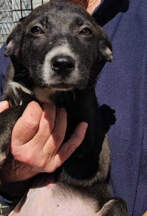 daf81d3b-92b0-4d05-ad80-d6f2f91c8cd7.jpeg daf81d3b-92b0-4d05-ad80-d6f2f91c8cd7.jpeg