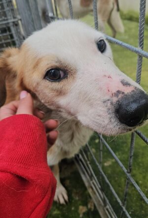 pxb_2135026_64ea2d82d9a1bcee82791ceebf3e4f37