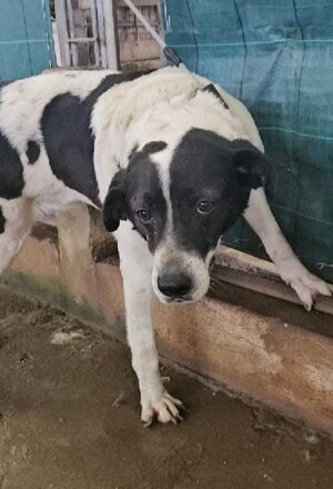 pxb_2135026_64ea2d82d9a1bcee82791ceebf3e4f37