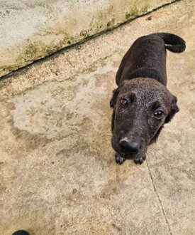 1d51f9a3-2af6-458d-843d-7932b8d37d10