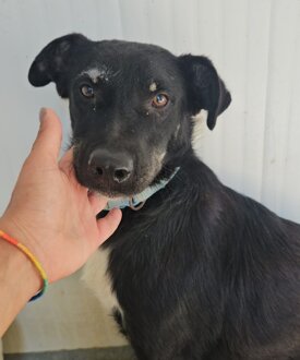 f10370a0-31fb-4d4a-a283-27b2f1b9ade9