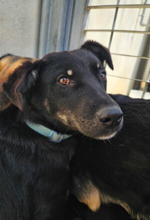 pxb_2135026_64ea2d82d9a1bcee82791ceebf3e4f37