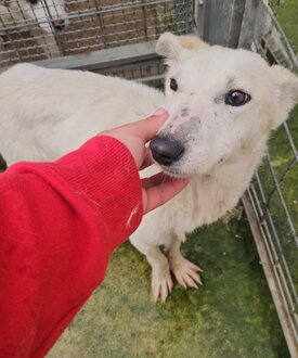 0d1bb926-9034-445f-922c-9313a332609d