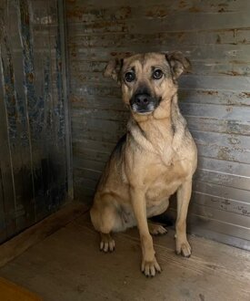 dba9cf26-a4ed-41d7-b9d5-f70597d5e7ef