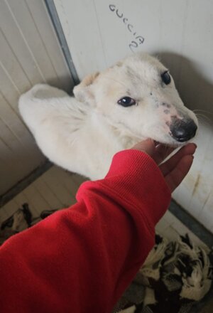 pxb_2135026_64ea2d82d9a1bcee82791ceebf3e4f37