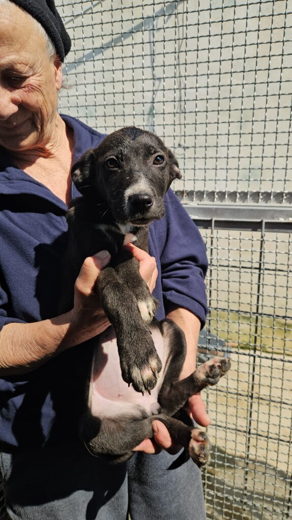 14aa21b9-6794-4e38-93fa-4090a5935905.jpeg 14aa21b9-6794-4e38-93fa-4090a5935905.jpeg