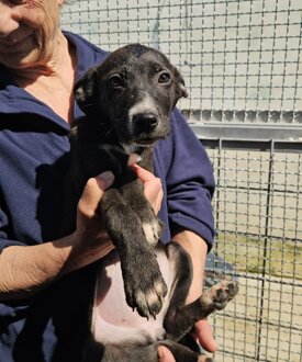 14aa21b9-6794-4e38-93fa-4090a5935905