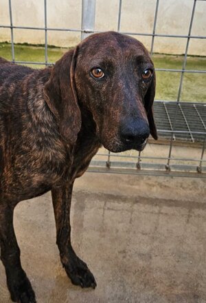 pxb_2135026_64ea2d82d9a1bcee82791ceebf3e4f37