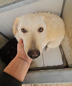 49b54f07-72ed-47b2-a14f-a655b5d46cbc