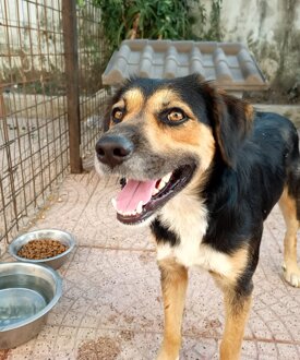 4270edc5-66d0-4403-9041-68433ee89eae