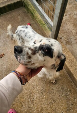 pxb_2135026_64ea2d82d9a1bcee82791ceebf3e4f37