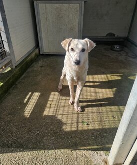 83b836dd-2810-47c8-a8f9-b85bb25d882b