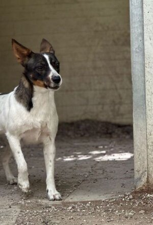 pxb_2135026_64ea2d82d9a1bcee82791ceebf3e4f37