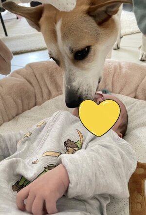 pxb_2135026_64ea2d82d9a1bcee82791ceebf3e4f37