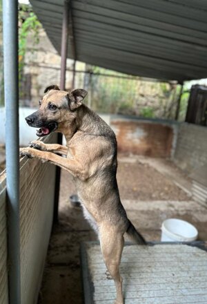 pxb_2135026_64ea2d82d9a1bcee82791ceebf3e4f37