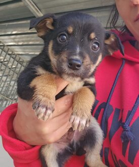 951fdf06-0c5d-4f3b-b29d-aae907928780