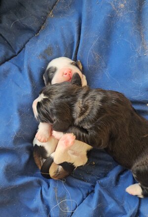 img_5659 (1).jpeg
