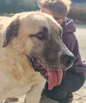 4021c0f3-32e3-4347-b49a-4debf8d1f4a1