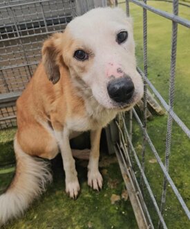 1769081227thumb-2026-01-22-112707-be3f7a3c-724f-4dff-a5de-b434d7202216