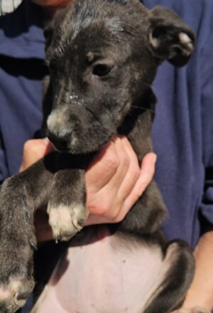 14aa21b9-6794-4e38-93fa-4090a5935905.jpeg 14aa21b9-6794-4e38-93fa-4090a5935905.jpeg