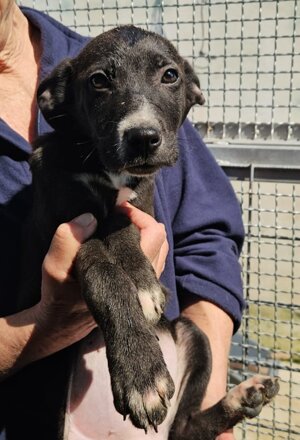 a209edd9-5b17-4f53-83da-c0fdaca19257.jpeg a209edd9-5b17-4f53-83da-c0fdaca19257.jpeg