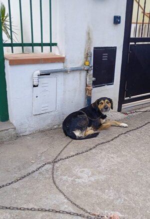 pxb_2135026_64ea2d82d9a1bcee82791ceebf3e4f37