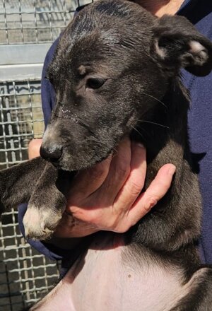 b56f0c75-7960-4840-9942-826e894fa33d.jpeg b56f0c75-7960-4840-9942-826e894fa33d.jpeg