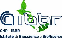 logo ibbr_new_3.jpeg