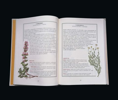 650e1362-71fe-491d-81be-1de11e91edac.jpeg 650e1362-71fe-491d-81be-1de11e91edac.jpeg