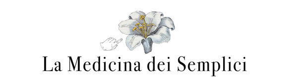 6fb3e3a1-fe4c-40d5-9117-69f222e8156e