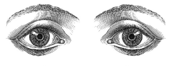 534c31c0-8876-4607-b7b5-8d6ed052e944