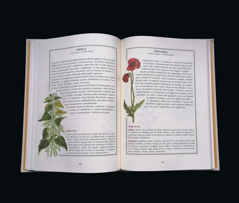 761501af-f98e-4a6a-aef9-1c7b9dc711ba.jpeg 761501af-f98e-4a6a-aef9-1c7b9dc711ba.jpeg