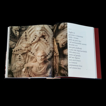 ff709ecd-496d-46c9-8849-32a58f1eb733