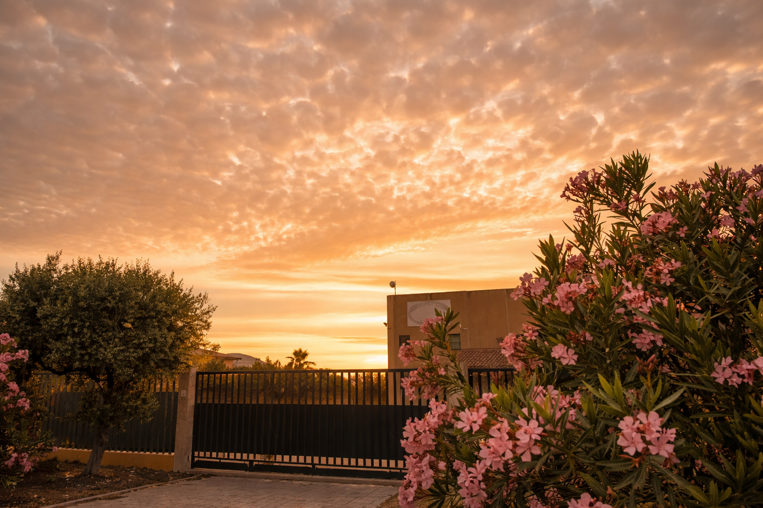 1e0a9826-6e55-4cf4-9fd9-96b69d212b7d