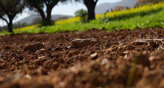 57715c4f-712e-4593-930a-6352dfe92fa3.jpeg 57715c4f-712e-4593-930a-6352dfe92fa3.jpeg