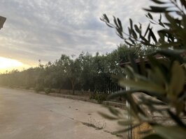 f7fb3e51-0c43-44fd-96a1-6c054d55c181.jpeg f7fb3e51-0c43-44fd-96a1-6c054d55c181.jpeg