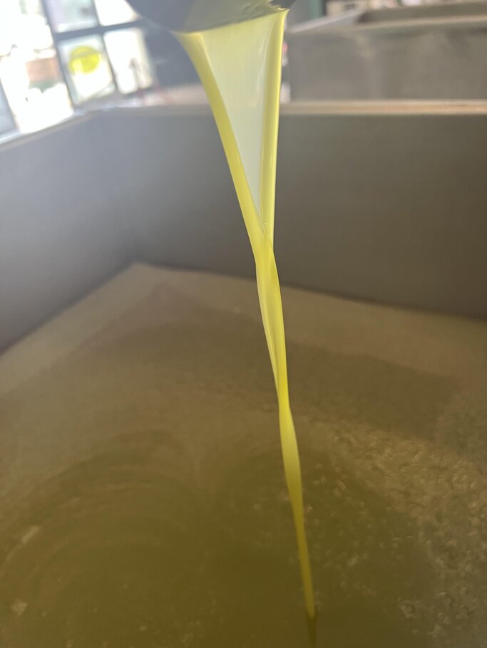 2e9b8ddd-1f15-4c77-bc38-c2655d530569 2e9b8ddd-1f15-4c77-bc38-c2655d530569