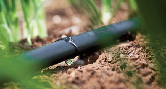 12efd4c5-9f91-4c59-95bb-c45738563aed.jpeg 12efd4c5-9f91-4c59-95bb-c45738563aed.jpeg