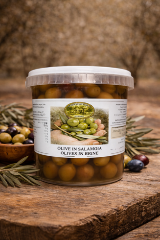 olive in salamoia olive in salamoia