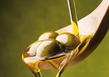 47b4d52f-7179-45bd-8559-71c3878e6a4a 47b4d52f-7179-45bd-8559-71c3878e6a4a