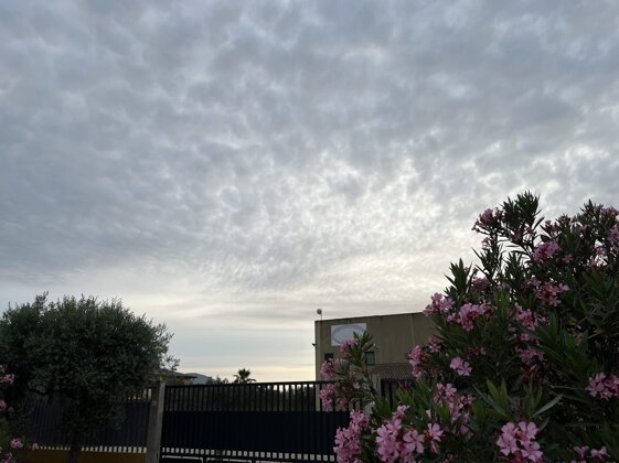 2e2f2b1e-eafa-4256-bab9-93111e6b2cc9.jpeg 2e2f2b1e-eafa-4256-bab9-93111e6b2cc9.jpeg