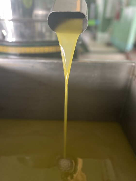 56668f02-c4e8-4902-86f4-83f1d8fe3779 56668f02-c4e8-4902-86f4-83f1d8fe3779